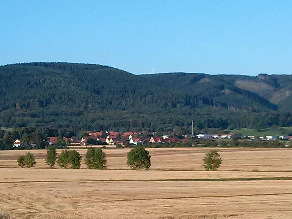 Ferienwohnung Osterbrink Ilsenburg Eksteriør billede